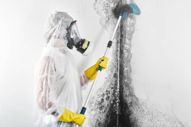 Mold Remediation for Rental Properties in Garrettsville, OH