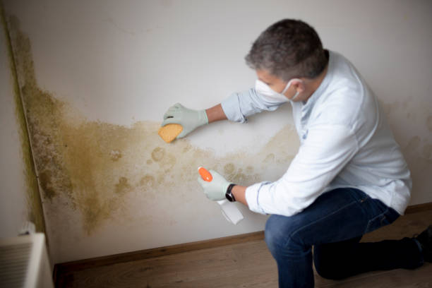 Best HVAC Mold Inspection and Cleaning  in Garrettsville, OH