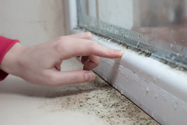Best HVAC Mold Inspection and Cleaning  in Garrettsville, OH