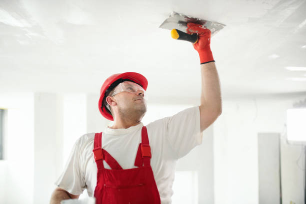 Best Post-Construction Mold Inspection  in Garrettsville, OH