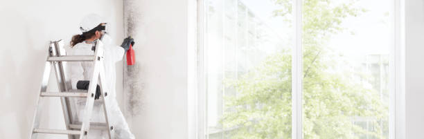 Reliable Garrettsville, OH Mold Removal Solutions