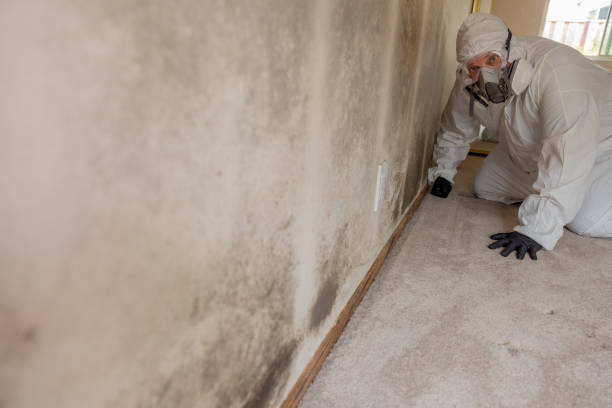 Best Biohazard Mold Removal  in Garrettsville, OH
