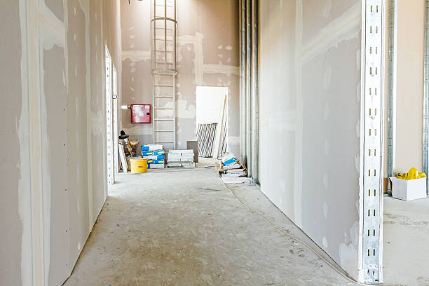 Best Mold Damage Restoration  in Garrettsville, OH